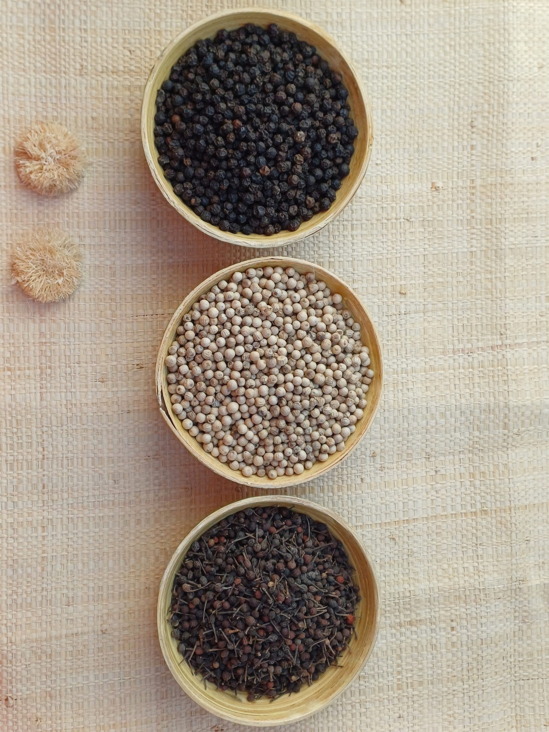 Poivre blanc de Madagascar – Image 3